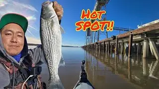 Hot SPOT Striper fishing Deep Water Channel In Sacramento