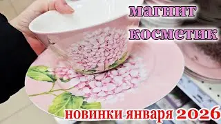Магнит Косметик.Новинки.Две новые коллекции посуды и товары для дома.Январь 2026
