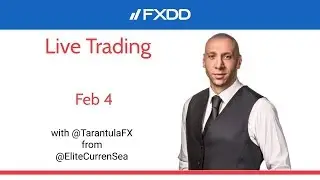 Live Trading Session with Nenad Kerkez February 4 '20