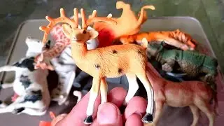 Review Animal and Dinosaur Toys | ASMR