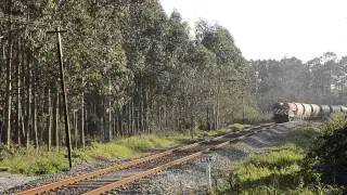 CP 1973 &middot; 51631 &middot; Martingan&ccedil;a &middot; 16.03.2014