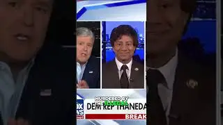 Congressman Shri Thanedar's Controversial Stance on Immigration & ICE