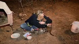 Stolen Dog Rescued From Cockfighting Bust And Reunited With Her Family A 2 Year Later