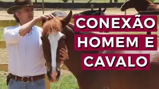 A MAGIA DA CONEXÃO ENTRE HOMEM E CAVALO