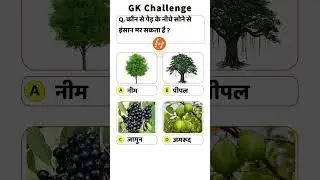 GK MCQ in Hindi | Govt Job तैयारी | #competitiveexams #examgk #staticgk #currentgk #ytshorts #shorts