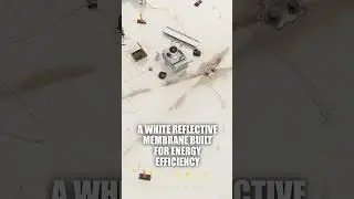 TPO Flat Roof: Cut Cooling Costs in Brandon FL