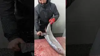 Filleting Greater Amberjack: A Masterclass in Fish Preparation