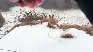 uncut fishing video mines falls January 