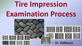 Tire Impression Examination Process