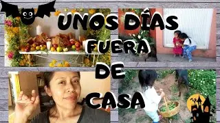 UNOS D&iacute;as FUERA De Casa🌆/Arreglamos La OFRENDA De Temporada👻/DISFRUTAMOS De La Bella NATURALEZA 🌻