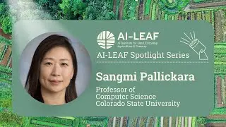 Sangmi Pallickara: AI-LEAF Spotlight Series