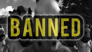 Steam Bans HORSES.