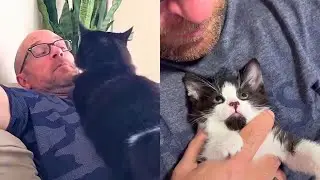 Husband Who Hated Cats, Becomes Crazy Cat Dad 😂💕