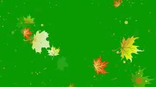 Green screen floating leaf | Falling Leaves Green Screen | Everything Green Screen