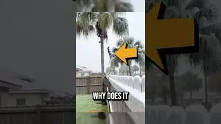 The Most Unusual Weather Phenomenon in the US