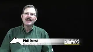 Phil Durst - Progressive Dairyman Testimonial