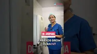 Where Do Embryos Grow in IVF? | How IVF Labs Grow Embryos! (Part 1) | Mamata Fertility Hospital