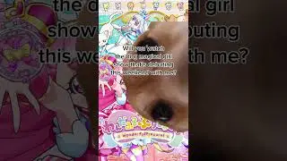 Will You Watch Wonderful Precure?