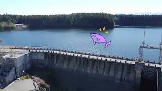 Elk Falls Area Compilation Video #1