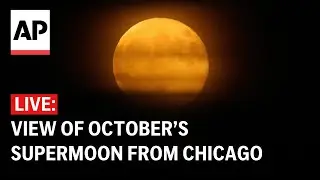 LIVE: View of October&rsquo;s supermoon from Chicago