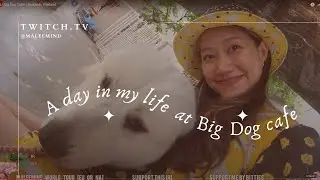 [IRL] Big Dog Cafe! | Bangkok, Thailand