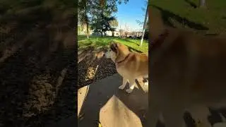 A day at park