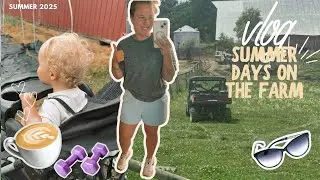 Summer vlog: planting sunflowers/fixing fence/ag conference