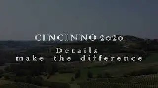 Vigliarolo & Zonca - Cincinno 2020