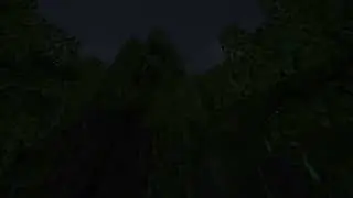 Relaxing Minecraft 1.19 mangrove swamp