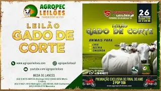 Agropecleiloes.com - LEIL&Atilde;O GADO DE CORTE  | SANTHYAGO LEIL&Otilde;ES - FORMOSO DO ARAGUAIA-TO| 26/02/2024