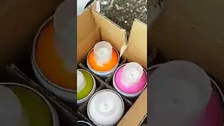Sampling new spray cans called Dope on walls .