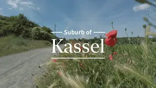 4K Kassel | Walking in the woods and fields at noon (4K50)