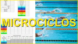 Plantilla de microciclos (Parte 1)