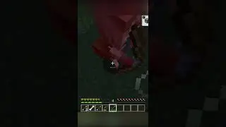 ZOSTAŁ DODANY NOWY WARIANT SZKIELETA CZYLI BOGGED [24W07A] #minecraftshorts #minecraft