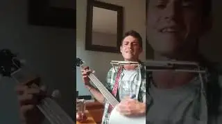 BOB (NoFx) Harmonica & Clawhammer Banjo Cover