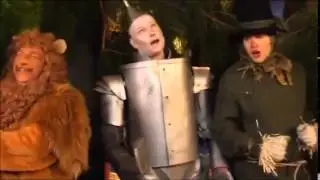 Gay Lion Song
