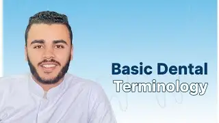 Dental Terminology Explained | أهم مصطلحات طب الأسنان لطلبة السنة الأولى
