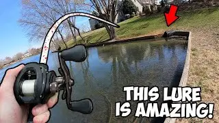 POND HOPPING With AMAZING LURES For SPRING BASS!!