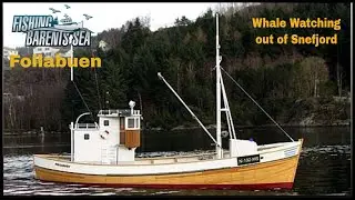 Fishing Barents Sea - Follabuen - Whale Watching out of Snefjord at night - Rain & rough sea - 4k