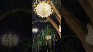 Dazzling Nights: Once-a-year holiday event in Orlando, FL. #holiday #light #newyear