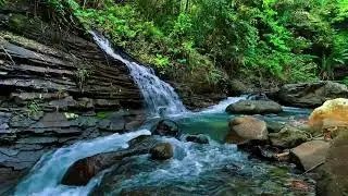 Waterfall Sounds for Sleeping, River Sounds for relaxation, Water Sounds for stress relief #1