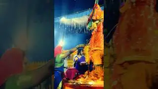 Sammakka Sarakka Jathara 2026 &ndash;Telangana&rsquo;s Biggest Tribal Festival #sammakkasarakka #tribal #shorts