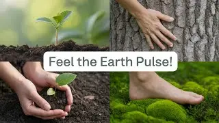 SYNC Your Life with Nature's Rhythm! 2025
