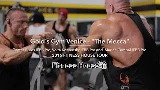 Golds Gym Venice 