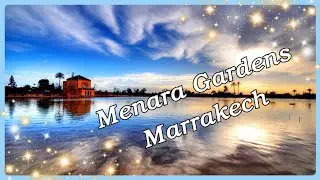 Explore the Beauty of Menara Garden in Marrakech 🇲🇦 - Morocco
