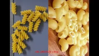 high quality macaroni pasta production line
