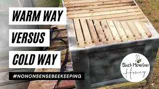 Which Way Should My Beehive Frames Go - Warm Way Or Cold Way - Frame Orientation in National Beehive