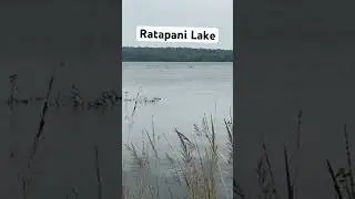 Ratapani Lake #waterfall #ecotourism #jungle #adventure #safari #nature #junglestay #wildlife