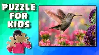 Beautiful Bird Puzzle with Nice Music for Kids, Let's Play