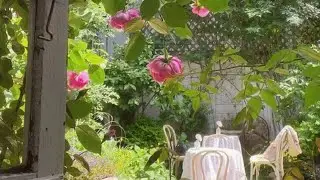 soft melodies for daydreams 🍀 (a playlist for reading, writing, studying)